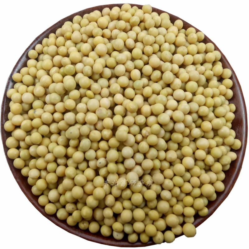 金江食品专营店东北小粒黄豆690豆浆发生豆芽纳豆打豆浆专用5斤农家自种非转基因3