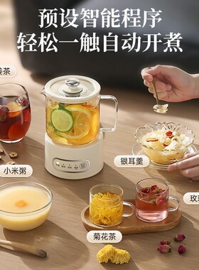办公室小型养生壶煮茶炉电小茶壶电陶炉烧水壶一人mini迷你煮茶器