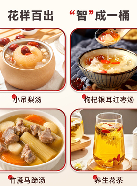 维思美商用煮梨汤机大容量防爆酸梅汤机热饮机梨汤神器茶饮机设备