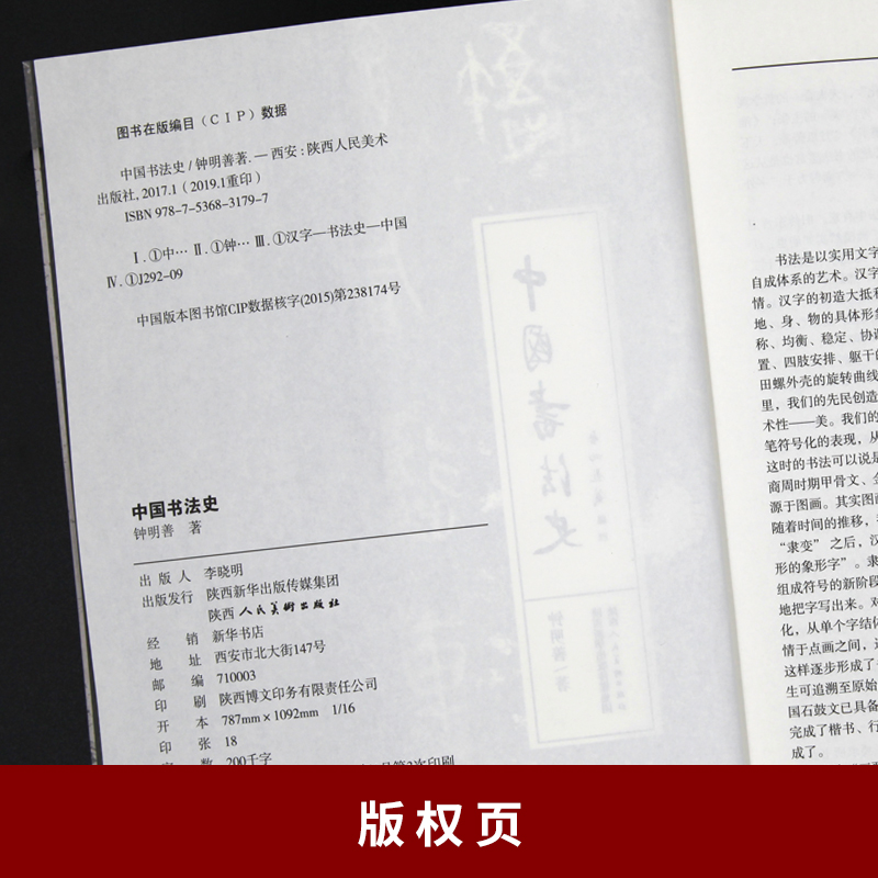 中国书法史全集 钟明善 先秦汉魏晋南北朝当宋元明中国历代书法理论研究行楷隶篆草毛笔字帖技法临摹鉴赏教材教程书籍陕西人民美术 - 图1