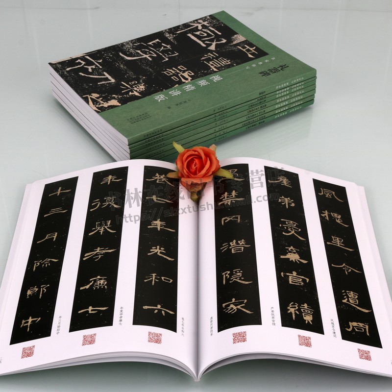 名家教你写视频精讲版系列(共八册)集王羲之书圣教序玄妙塔碑九城宫醴泉铭多宝塔碑张玄墓志颜卿礼碑 书法教材 河南美术出版社