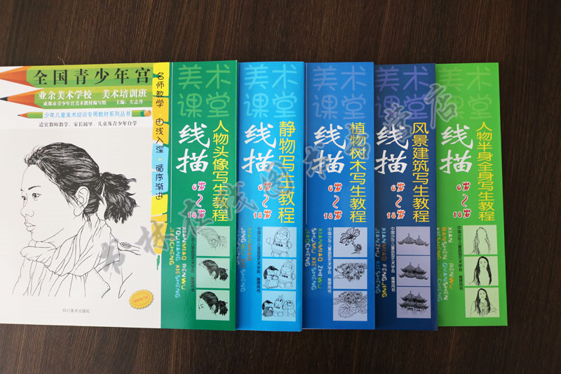 正版美术课堂线描（5册）左志丹静物写生植物树木风景建筑人物半身头像教程全国青少年宫美术基础培训班同步系列教材小学生线描书-图0