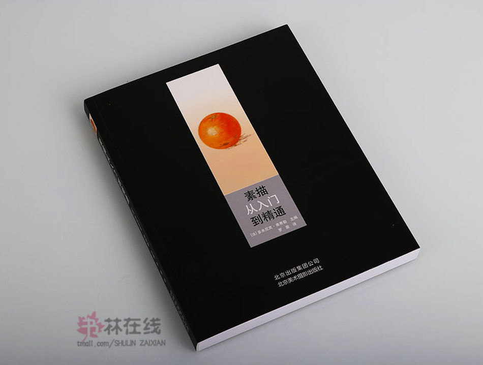 《素描从入门到精通》多米尼克·弗费勒著素描画绘画技法提升技巧基础练习主要画笔用具自然元素静物人物画动物风景北京美术摄影