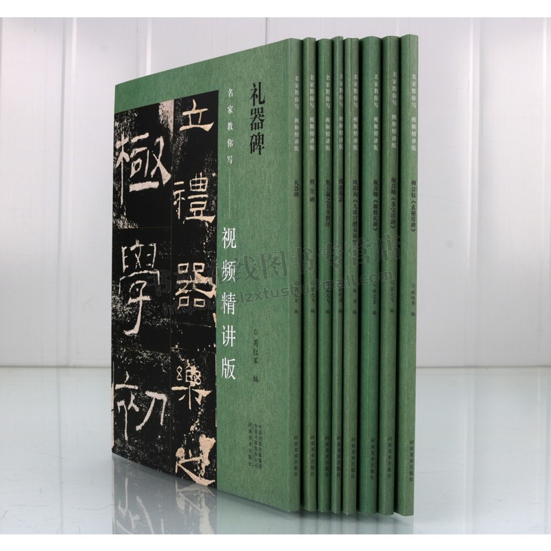 名家教你写视频精讲版系列(共八册)集王羲之书圣教序玄妙塔碑九城宫醴泉铭多宝塔碑张玄墓志颜卿礼碑 书法教材 河南美术出版社