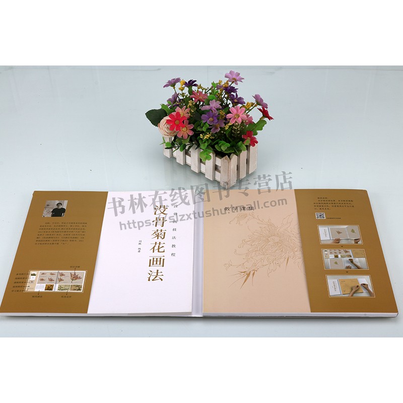 没骨菊花画法 没骨画技法教程 没骨花卉日课教程教学国画临摹画册作品集初学者入门零基础自学白描美术绘画教材书籍 福建美术出版