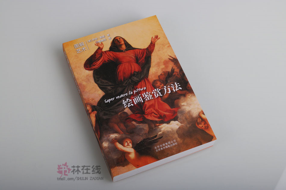 图解艺术系列丛书《绘画鉴赏方法》伊玛莱诺著图解技巧与素材风格鉴赏方法解析世界著名画作画家形式内容分类展览保存北京美术摄影