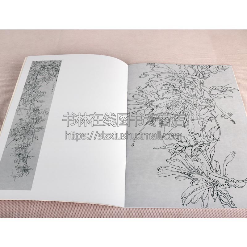 热带植物 唯美白描精选 工笔画花卉技法白描底稿勾线稿毛笔画谱国画上色 中国现代花卉画作绘画教程书籍 初学者临摹范本画册书籍