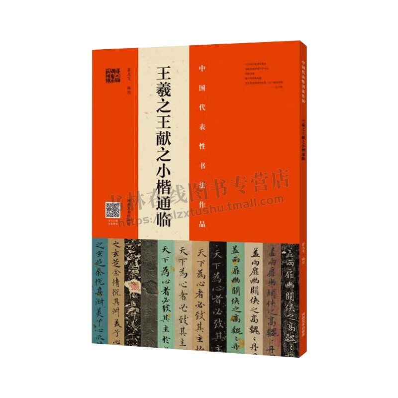 王羲之王献之小楷通临中国代表性书法作品黄庭经乐毅论宋拓本王献之玉版十三行翁志飞编全碑视频临写楷书毛笔练字帖 河南美术出版