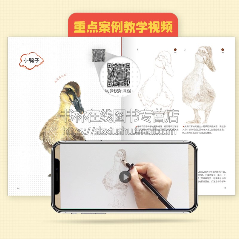 彩铅:我的小动物图绘 彩铅画教学绘本 线稿+手机壁纸+视频教程 手把手教你超萌小动物的彩铅绘画技法 江苏凤凰美术出版社