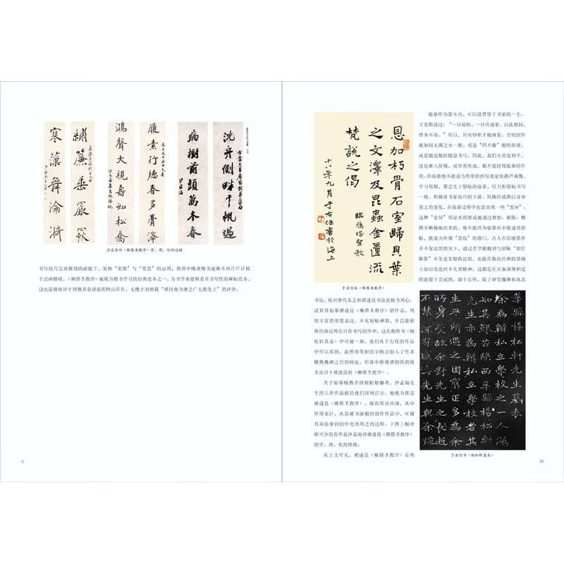 中国具代表性书法作品 褚遂良雁塔圣教序 原石拓片程志宏临本赵世骏临本视频全覆盖讲解示范四色彩印字帖 河南美术出版