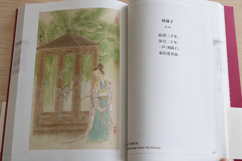 画说唐诗许渊冲译作品中英文对照唐诗百首李白杜甫白居易韦应物祖咏王维等中国古诗词大会全集鉴赏古典文学书籍 中译出版社