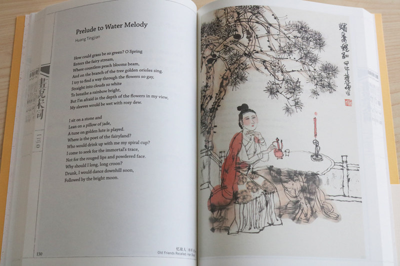 画说宋词许渊冲译作品中英文对照版中国古诗词大全大会柳永文天祥黄庭坚秦观岳飞周邦彦卜算子蝶恋花清平乐117首宋词鉴赏书籍中译