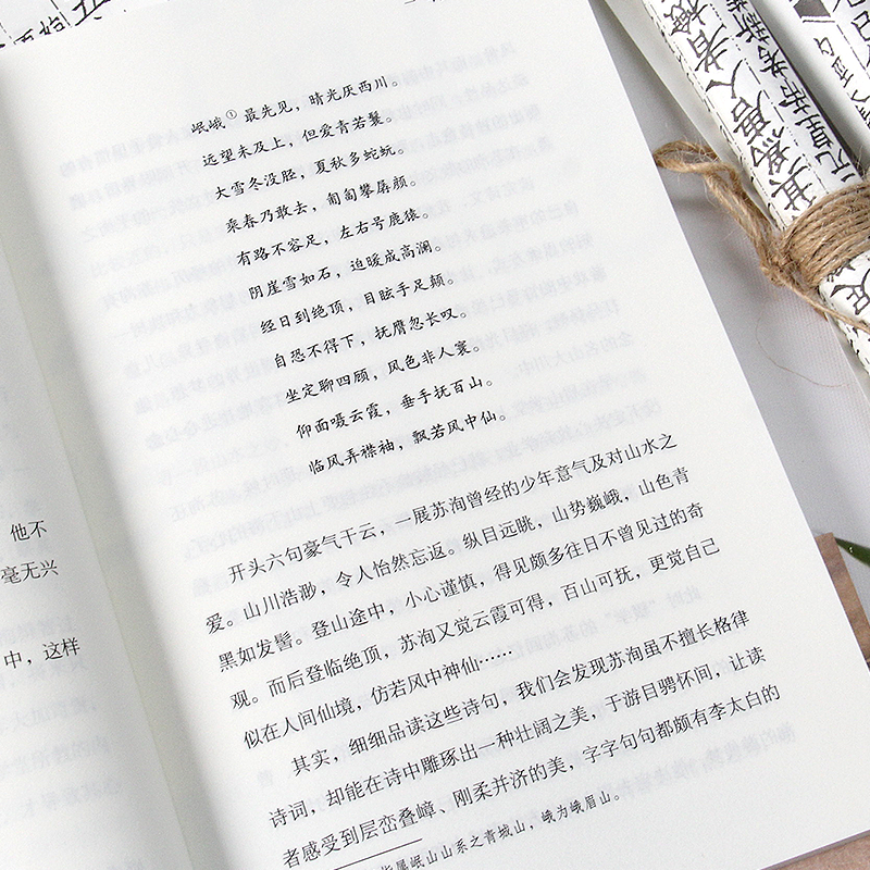 正版苏洵传本书以苏洵一生经历为主线以其诗文为枝条清楚展现苏洵的精神世界文后附年谱随书附赠行程游戏卡唐宋八大家个人传记书籍 - 图2