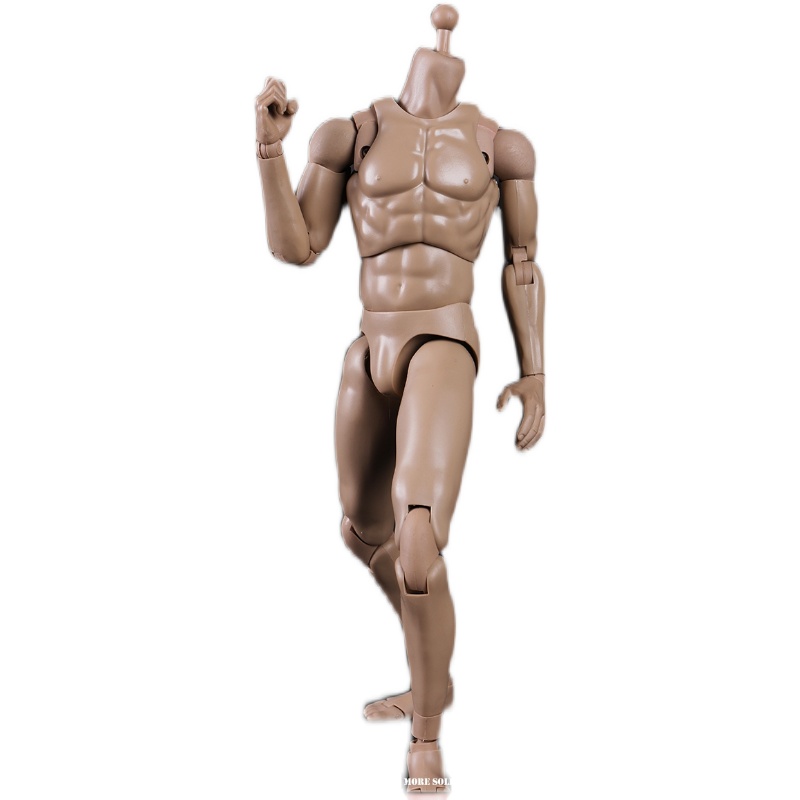 COOMODEL 1/6 标准 MB001 MB002 MB003 MB004 高个肌肉素体 现货 - 图3