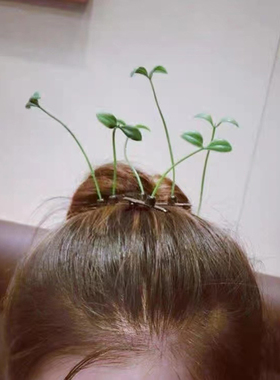 发夹合金搞怪头上长草发饰