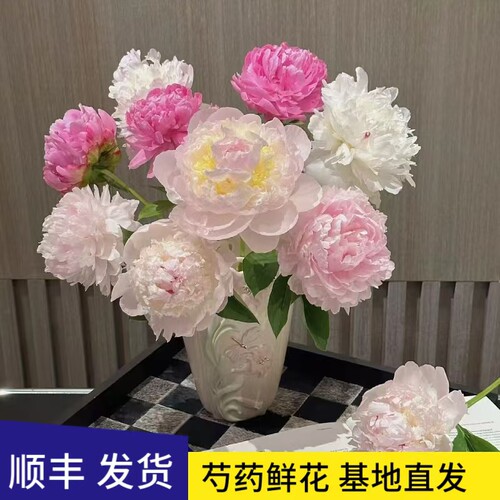 芍药鲜花牡丹重瓣花束云南鲜切花玫瑰百合插花卉情人节基地母亲节 - 图0