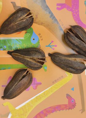 剑麻壳创意圣诞树装饰花环挂饰天然植物干花材料