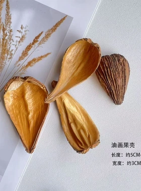 小瓢油画壳莲天然植物果壳手工DIY干花相框干花材料包标本装饰材