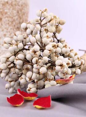 小白果干花花束插花松树装饰树枝植物圣诞树干北欧风花束干花圣诞
