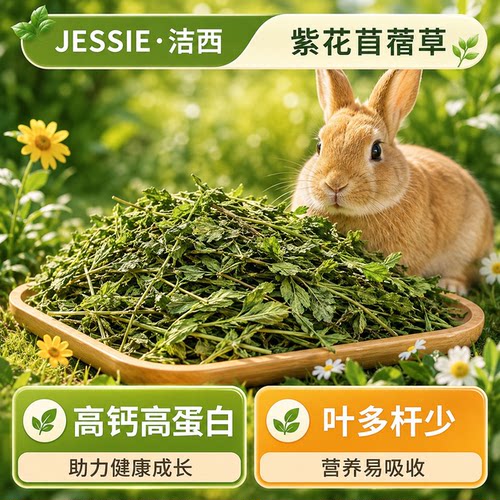 2025头茬紫花苜蓿草干草兔子粮草龙猫荷兰猪饲料烘烤牧草1000克 - 图3