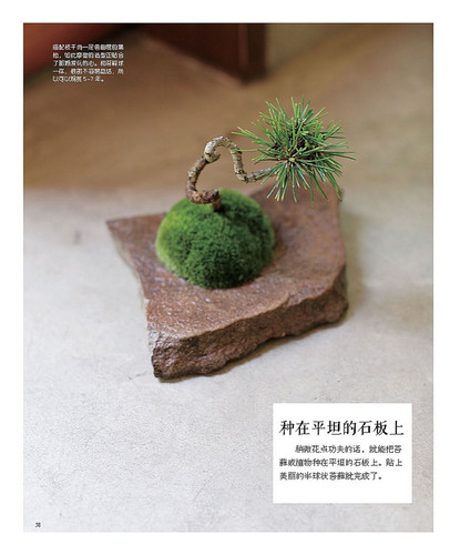 玩苔藓 六大名师教你手制苔藓球和苔藓小景 苔藓微景观 苔藓盆景制作教程书籍 苔藓球制作与养护 多肉植物花草盆苔藓新视界 - 图1