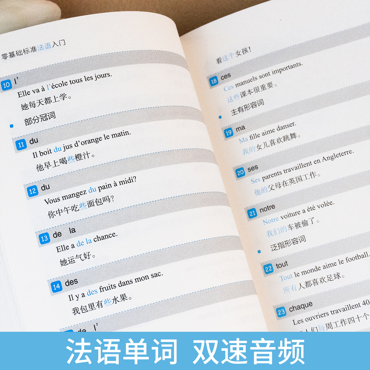 法语自学入门教材 零基础标准法语入门书现代语法词汇单词口语听力教程学习资料零基础初级自学入门教材书籍标准法语自学教程 - 图1