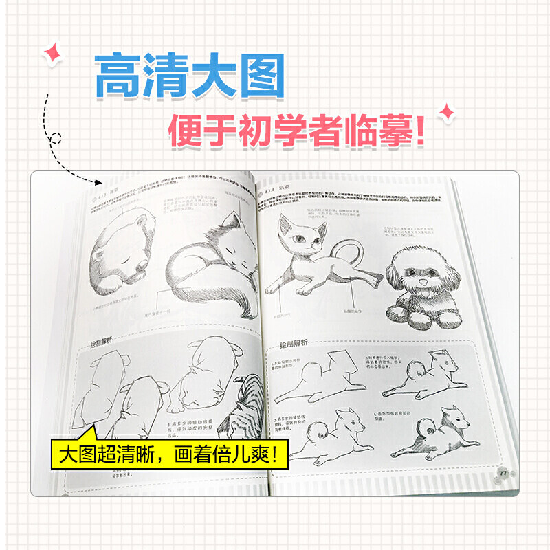漫画新手入门完全教程动物宝典画画自学零基础书籍动漫绘画教程书线描临摹画册本教材人物人体结构手绘头像漫画素描技法基础_虎窝淘