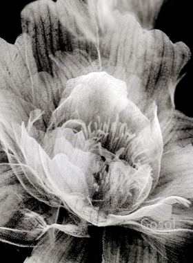 富贵有余水晶内雕摆件乔迁送礼