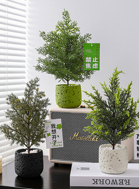 仿真绿植小型盆栽客厅玄关电视柜书架摆件办公室装饰乔迁新居布置