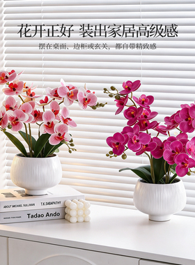 仿生蝴蝶兰盆栽假花仿真花摆设客厅餐桌摆花桌面装饰高级花艺摆件