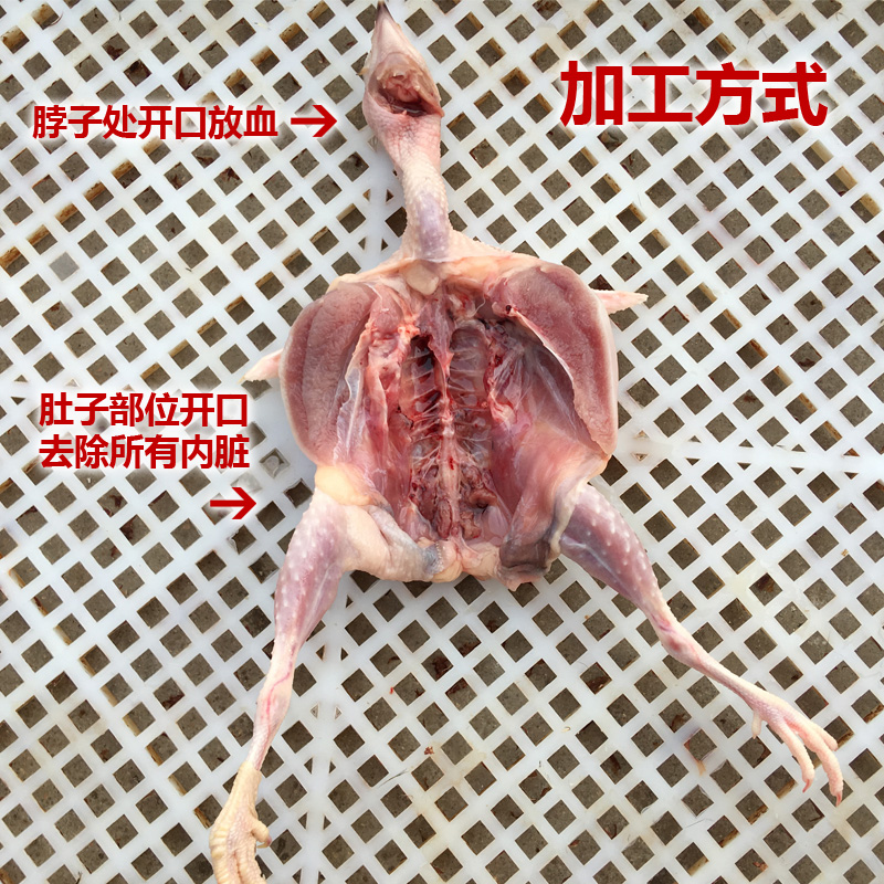 大母鹌鹑肉新鲜 现杀鹌鹑肉速冻 冷冻白条烧烤食材炖汤生骨肉10只