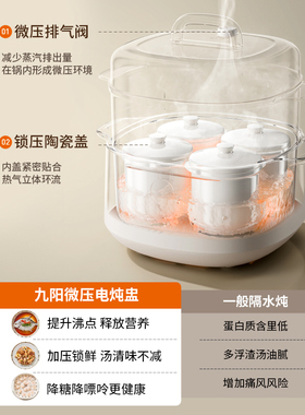 九阳隔水炖陶瓷全自动电炖锅