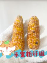 Hamster grinding tooth corn mini corn grinding tooth stick rabbit flower branch rat snacks supplies gold silk bear grain deity