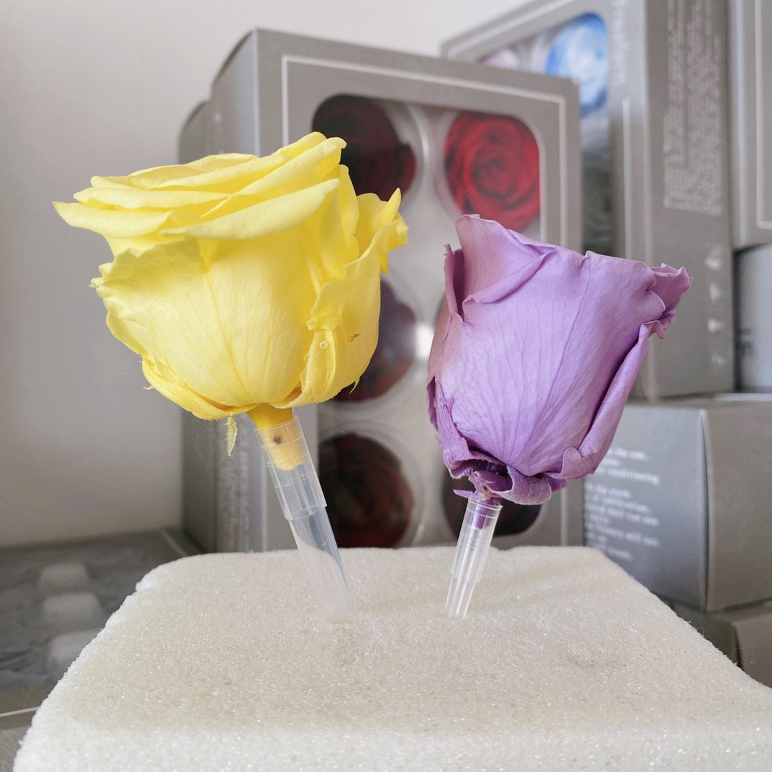 永生花DIY花泥插花材固定神器花束抱抱筒工具材料包花托透明花杆,淘宝优惠券,粉丝福利购,淘宝优惠卷