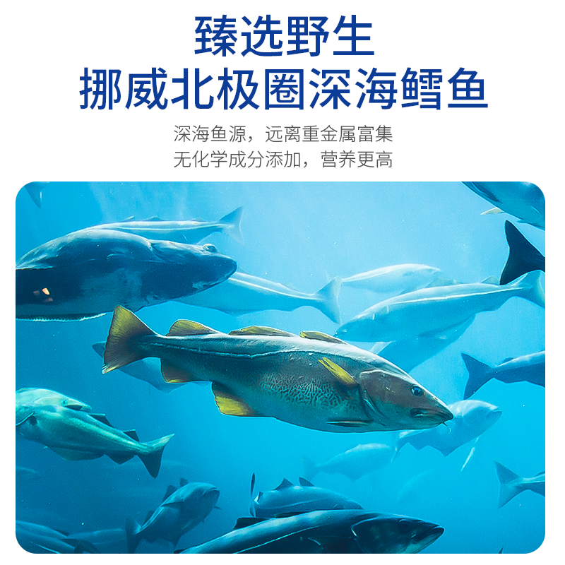 挪威小鱼dha鳕鱼肝油婴幼儿滴剂 NordicNaturals海外DHA/核桃油