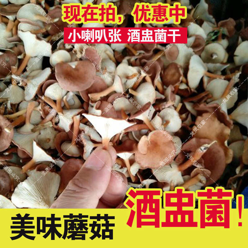 小喇叭蘑 酒盅蘑 小喇叭张蘑菇 深凹杯伞食用蘑菇干货半斤/一斤