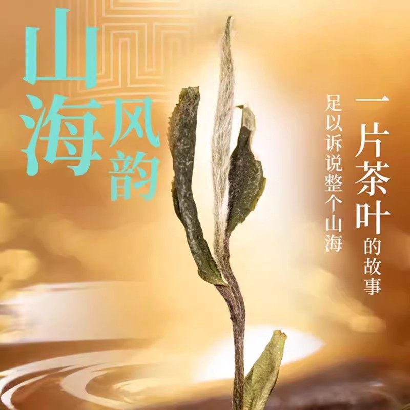 绿雪芽福鼎白茶正方罐23年老白茶白牡丹散茶礼盒300g,淘宝优惠券,粉丝福利购,淘宝优惠卷