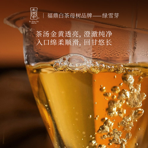 绿雪芽福鼎白茶369系列2021年老白茶白牡丹寿眉小圆饼茶叶36g - 图2