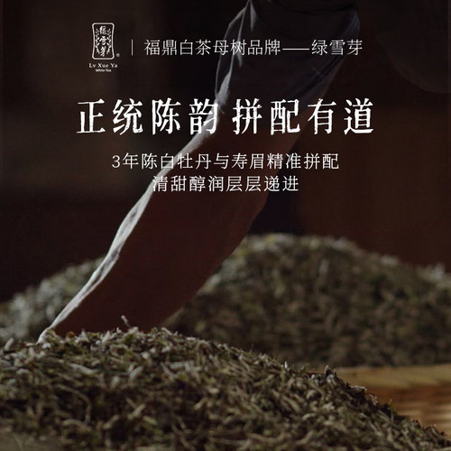 绿雪芽福鼎白茶369系列2021年老白茶白牡丹寿眉小圆饼茶叶36g - 图1