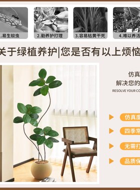 2025新升级黑金刚橡皮树仿真绿植客厅大盆栽室内假植物落地摆件