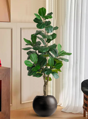 假绿植装饰仿真琴叶榕室内盆栽大型落地摆件客厅轻奢仿生植物造景