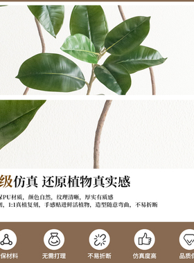 橡皮树高端轻奢仿真绿植客厅盆栽