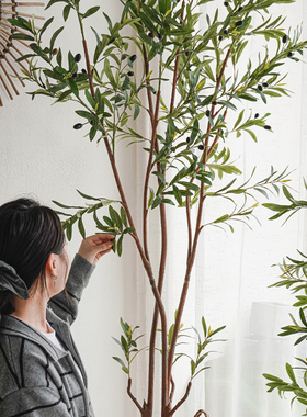 大型仿真绿植室内装饰盆栽仿生假植物客厅落地高端轻奢橄榄树盆景
