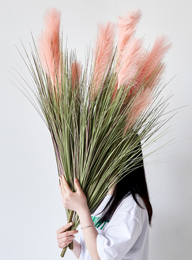 假花仿真花摆设芦苇仿真绿植植物