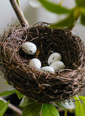 草编树枝鸟巢鸟窝幼儿园装饰摆件