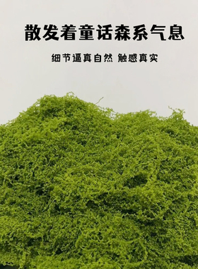 仿真苔藓草皮假青苔微景观假山装饰摆件草坪园艺盆景铺面绿化造景