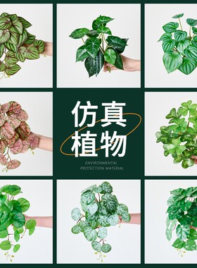 仿真花假花摆设高端植物造景材料仿生绿植假小草叶子橱窗装饰摆件