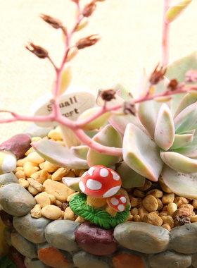 田园风小蘑菇多肉盆栽造景摆件