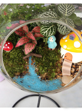 多肉植物小蘑菇房子城堡生态瓶