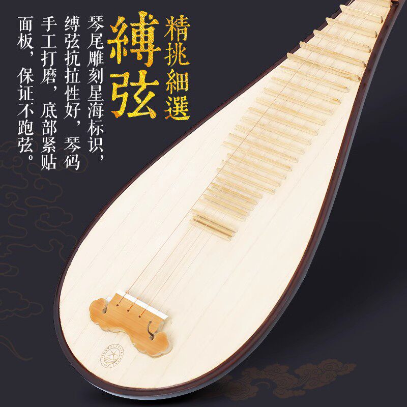  艺钛客乐器琵琶